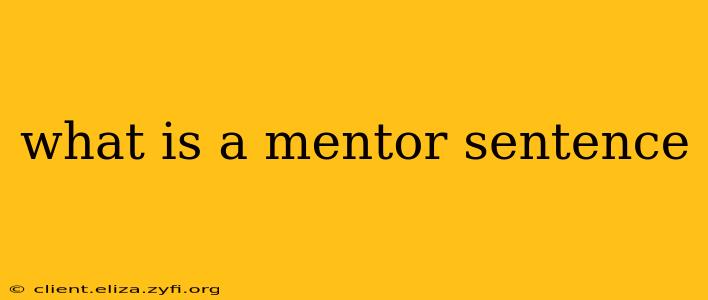 what is a mentor sentence