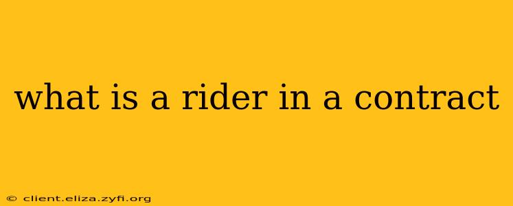 what is a rider in a contract