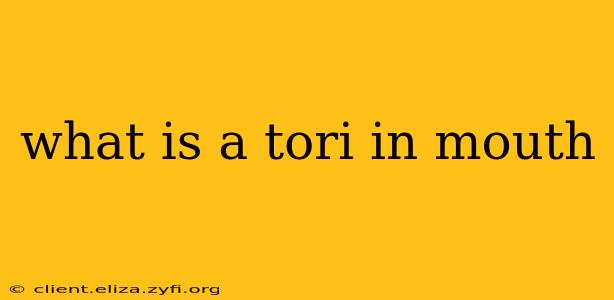 what is a tori in mouth