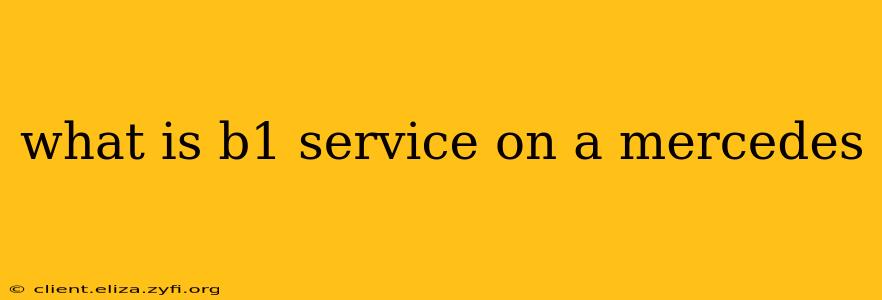 what is b1 service on a mercedes