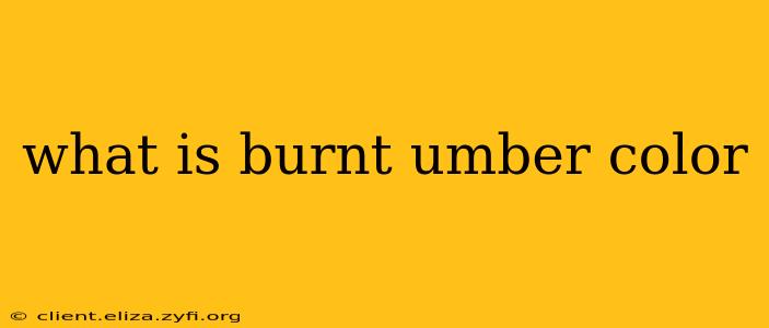 what is burnt umber color