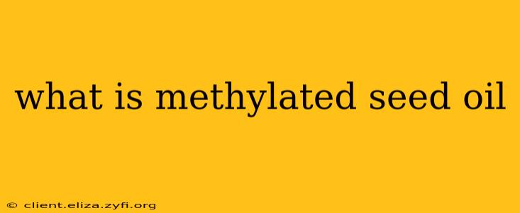 what is methylated seed oil