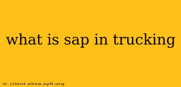 what is sap in trucking