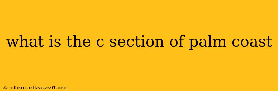 what is the c section of palm coast