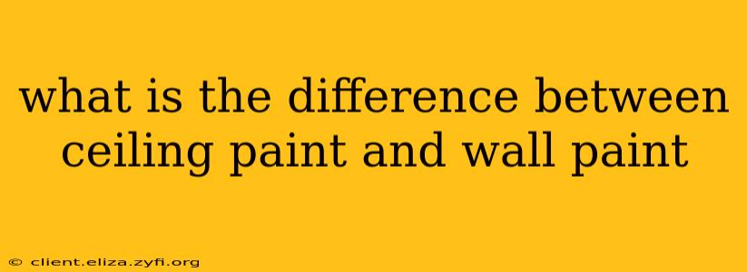 what is the difference between ceiling paint and wall paint
