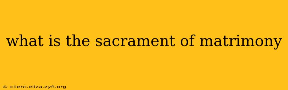 what is the sacrament of matrimony
