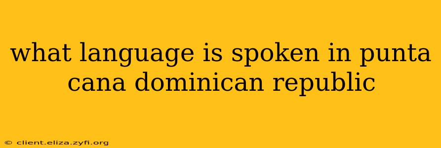 what language is spoken in punta cana dominican republic