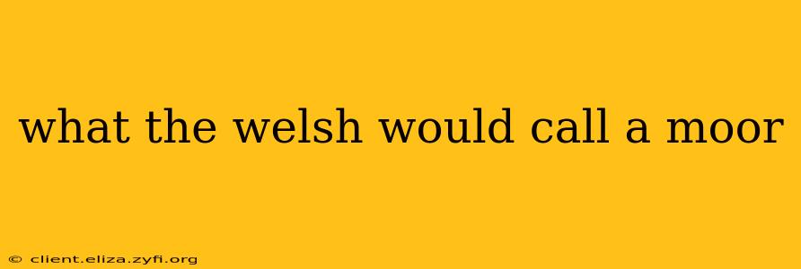 what the welsh would call a moor