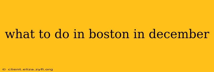 what to do in boston in december