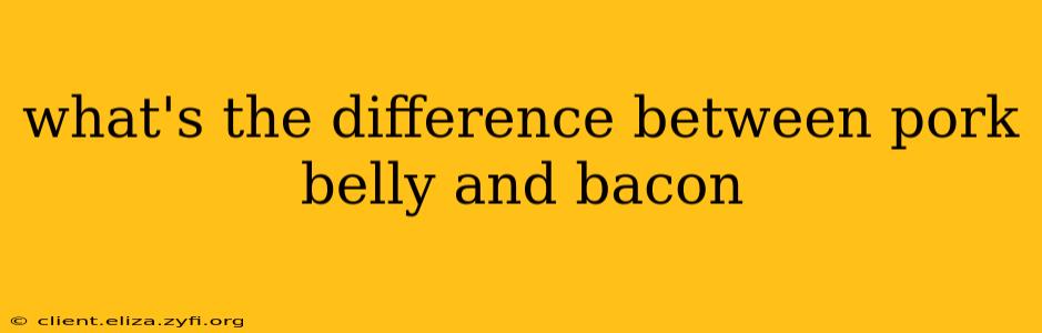 what's the difference between pork belly and bacon