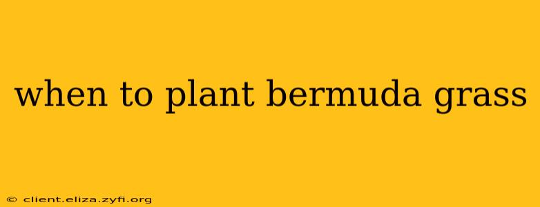 when to plant bermuda grass