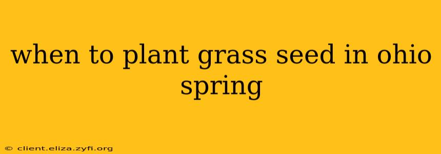 when to plant grass seed in ohio spring