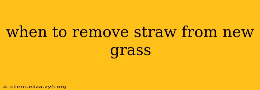 when to remove straw from new grass