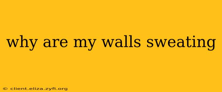why are my walls sweating
