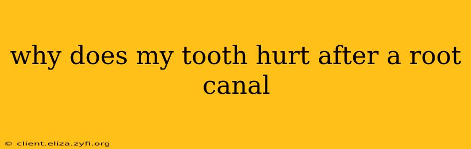 why does my tooth hurt after a root canal