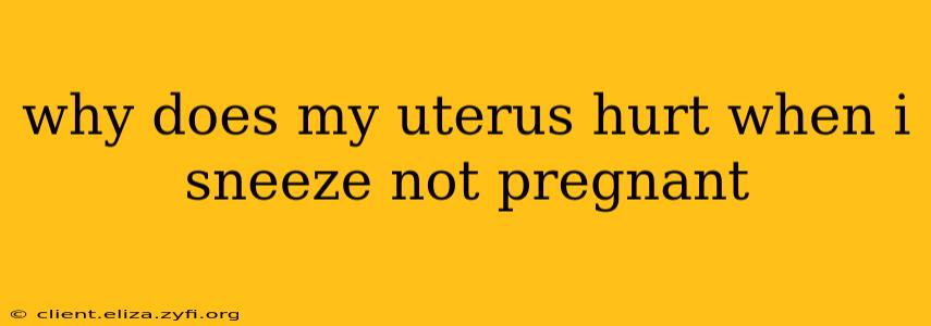 why does my uterus hurt when i sneeze not pregnant