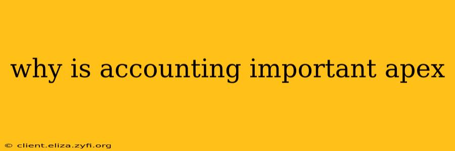 why is accounting important apex