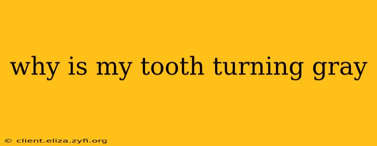 why is my tooth turning gray