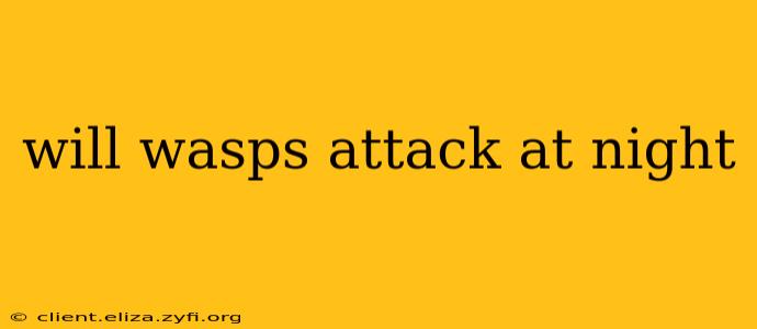 will wasps attack at night