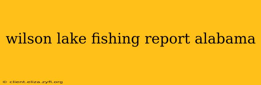 wilson lake fishing report alabama