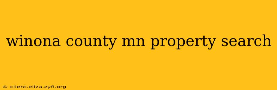 winona county mn property search